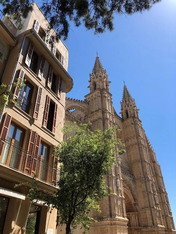 Vila Damunt Palma de Mallorca İspanya
